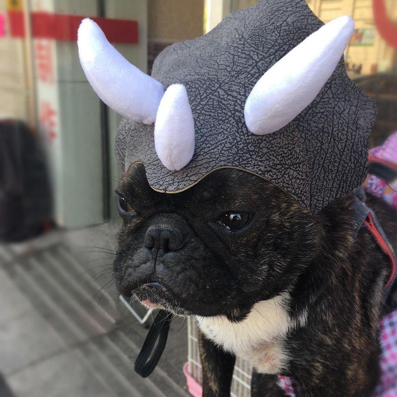 Triceratops Pet Transformation Hat - Fun And Stylish Pet Headgear Costume-2