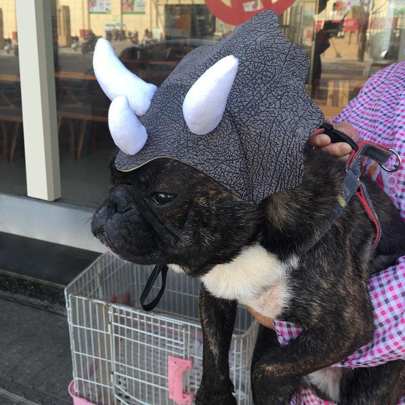 Triceratops Pet Transformation Hat - Fun And Stylish Pet Headgear Costume-1