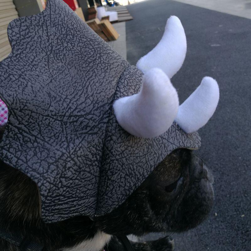 Triceratops Pet Transformation Hat - Fun And Stylish Pet Headgear Costume-3